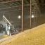 Патрушев: в 2020 году в России могут собрать 120 миллионов тонн зерна