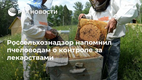 Россельхознадзор напомнил пчеловодам о контроле за лекарствами