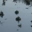 Жителям Прибайкалья компенсируют потерянный из-за наводнения урожай